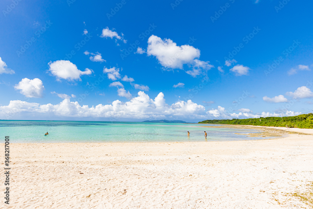 Fototapeta premium 青空と海