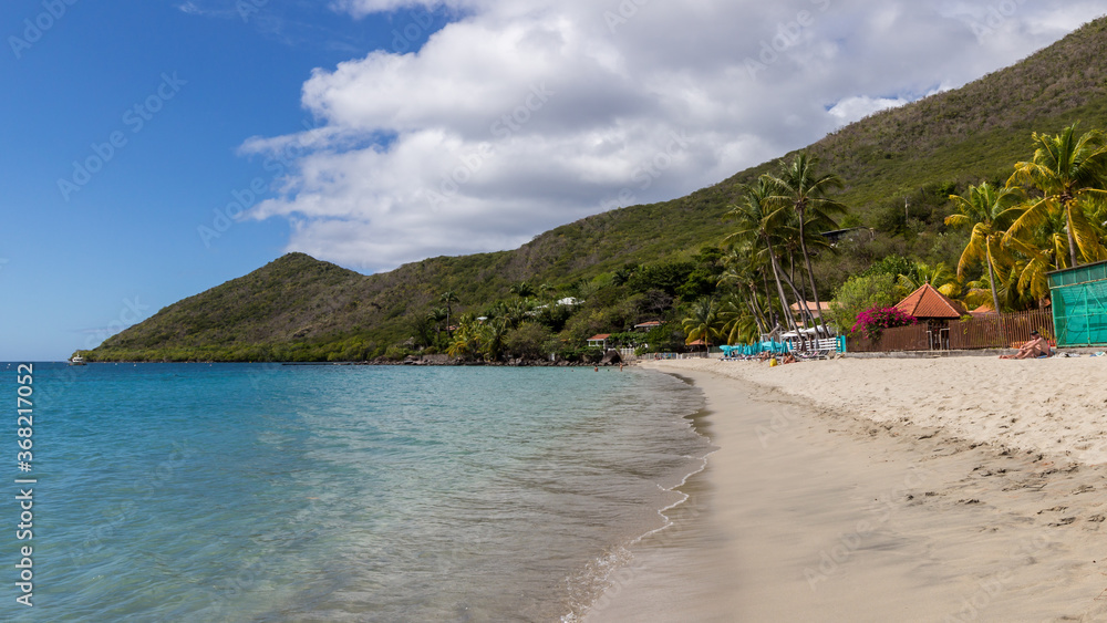 Obraz premium Landscape of the Caribbean beach in Sainte Anne Martinique
