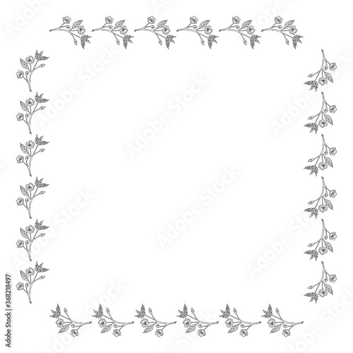Square frame with black-and-white sakura branches on white background. Vector image.