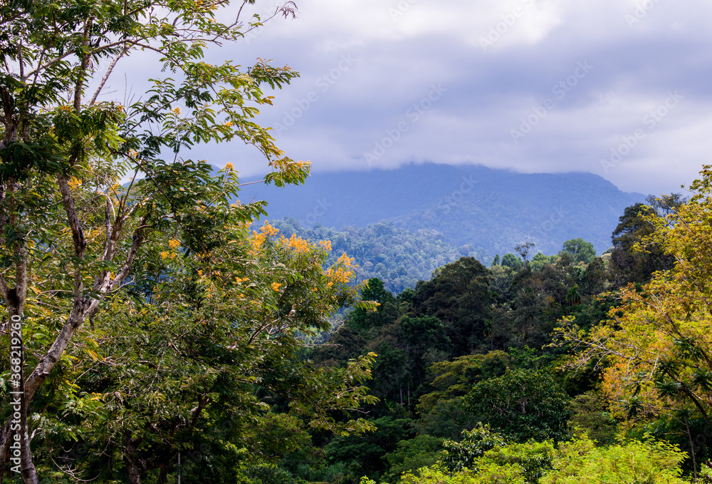 Landscape with mountains, forest in front. Beautiful scenery best view points jungle reserve deep in southern Thailand.