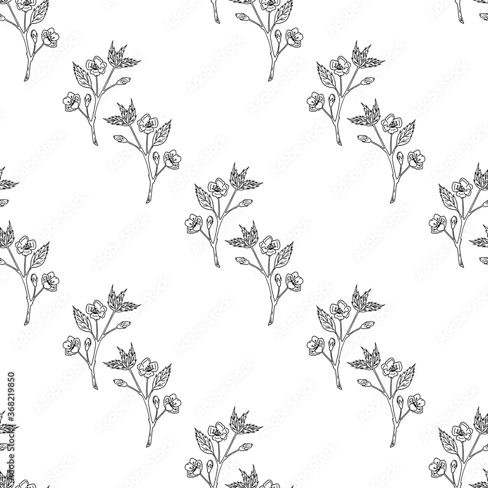 Seamless pattern with creative black-and-white sakura branches on white background. Vector image.