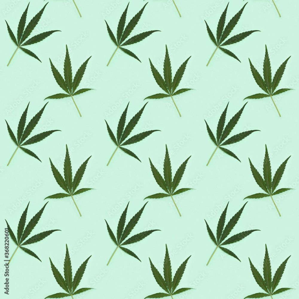 Seamless regular creative pattern with natural green leaves from Cannabis plant. Printing on fabric, wrapping paper.