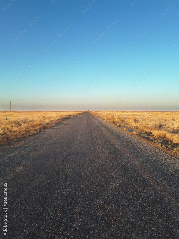 desert road in the desert