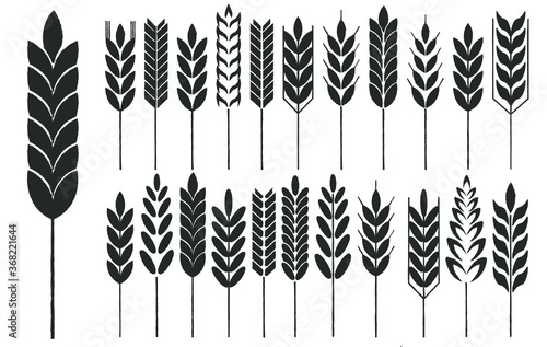 Cereal grain spikes icon shape set. Agriculture food logo symbol. Vector illustration image. Isolated on white background. Oat  whey  barley  rye.