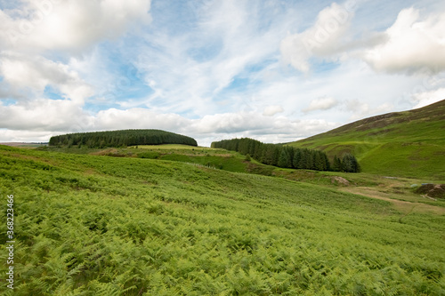 Views of the mountain