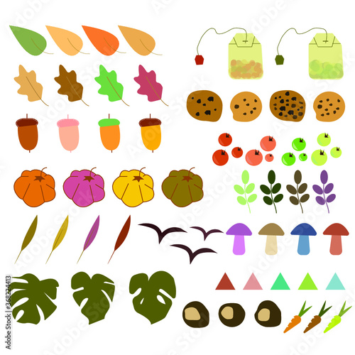 55 isolated autumn illustrations