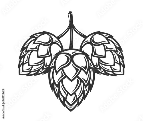Hop isolated on white background