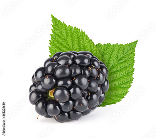 Ripe blackberry with leaves isolated with clipping path