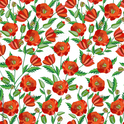 Template. Red poppies on a white background. Vector graphic drawing. Can be used for interior design, web design, magazines, covers, fabrics, paper.