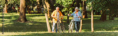 Horizontal image of smiling senior couple walking with bikes on grass in park