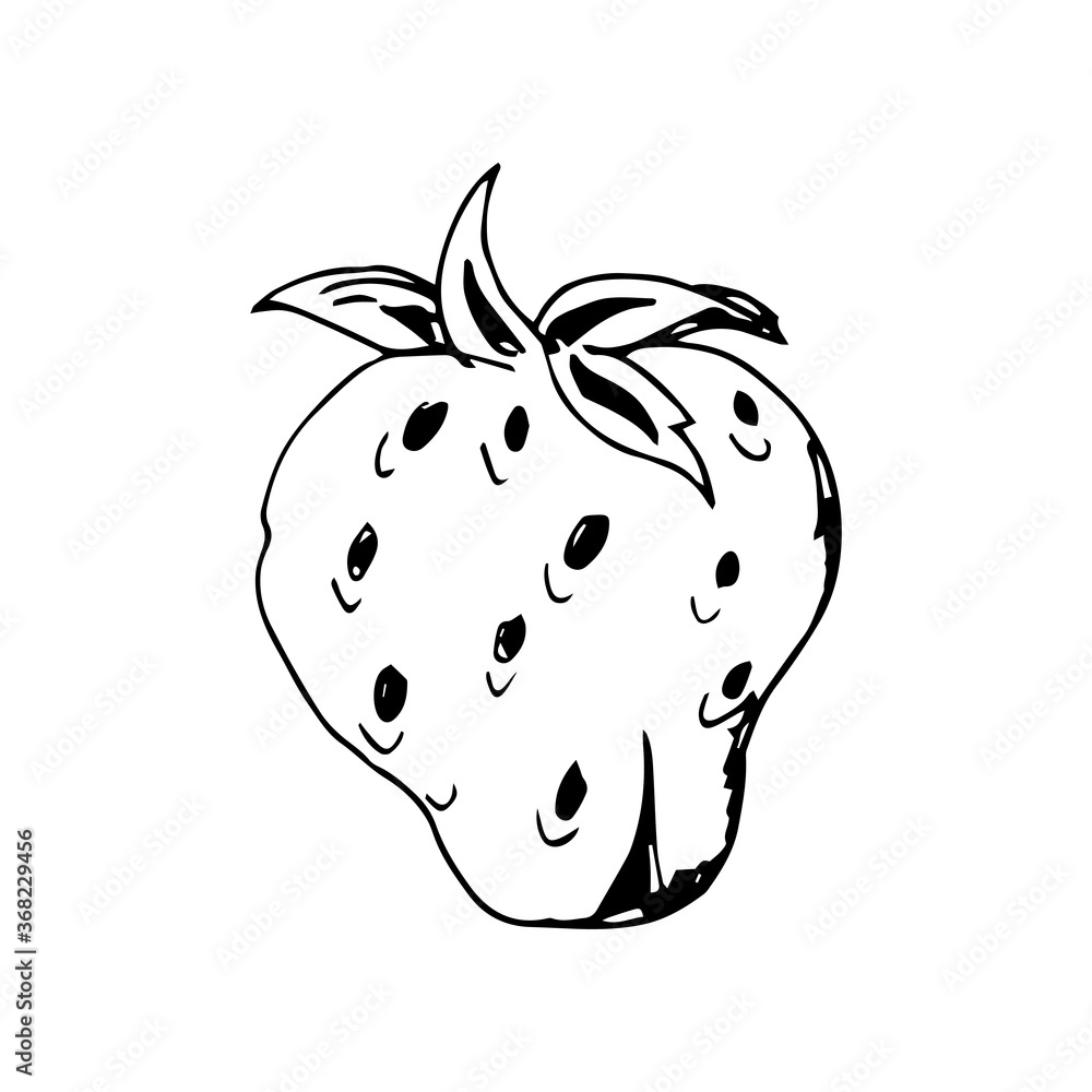Obraz premium Strawberry Hand Drawn Illustration