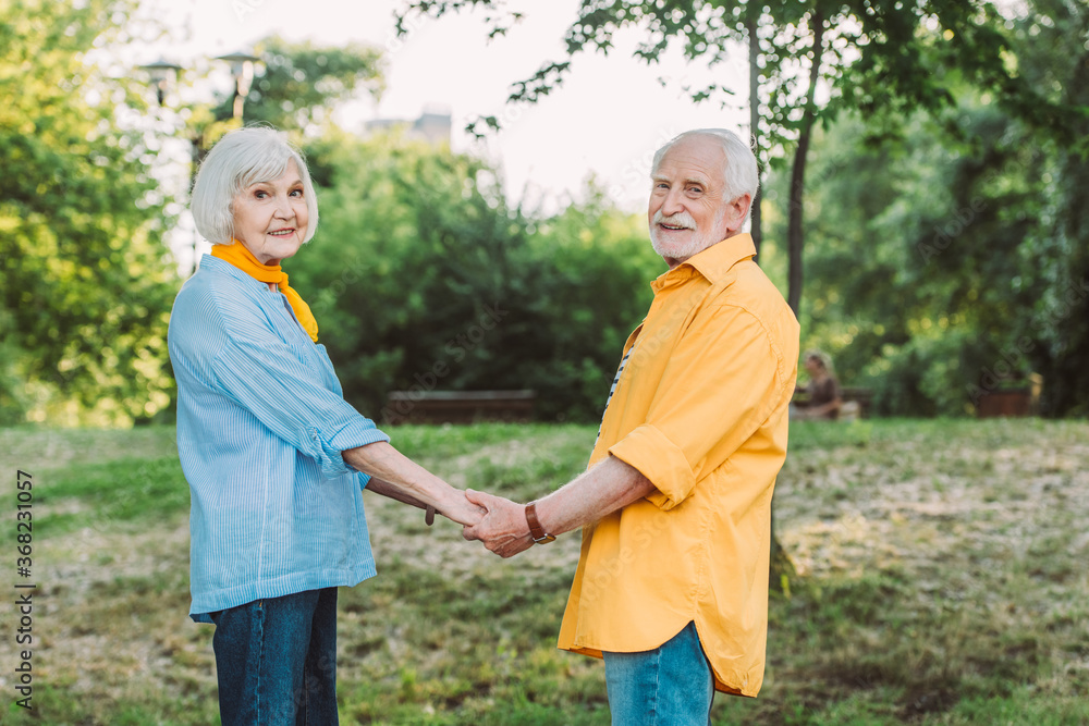 Fototapeta premium Elderly couple smiling at camera while holding hands in park