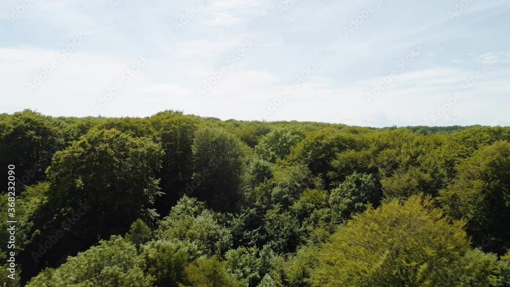 Pull Away Drone Shot of Forest Trees and Majestic Ocean Horizon Under Blue Sky Pull Away Drone Shot of Forest Trees and Majestic Ocean Horizon Under Blue Sky