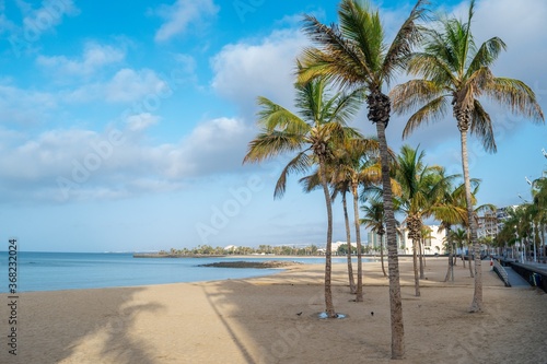Beautiful white tropical beach and coconut palms. © Jorge Ferreiro