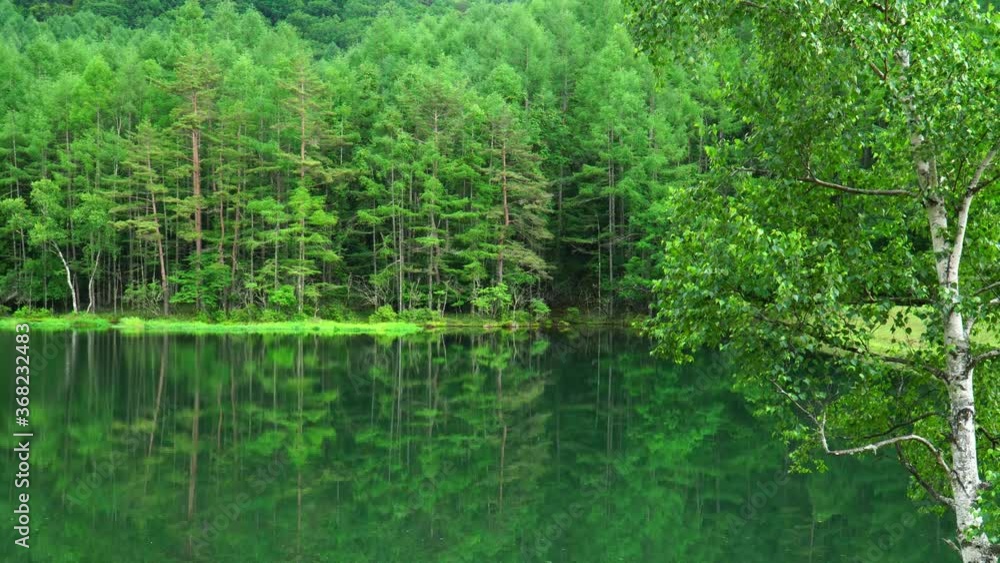 夏の御射鹿池 夏の御射鹿池