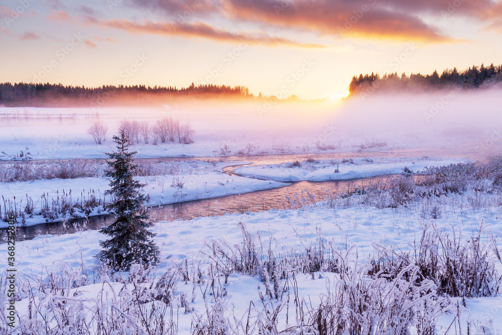 Beautiful foggy and wintery sunset in rural Estonia, Northern Europe. 