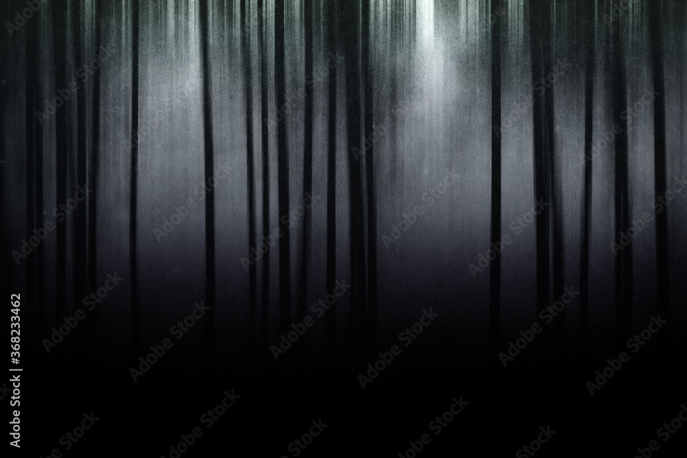 Scary dark forest, mysterious landscape, horror wallpaper Scary dark forest, mysterious landscape, horror wallpaper