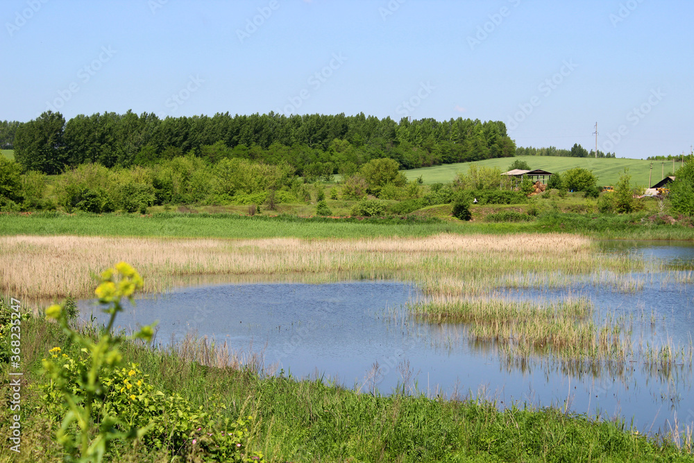Summer rural landscape with an open-air lake.