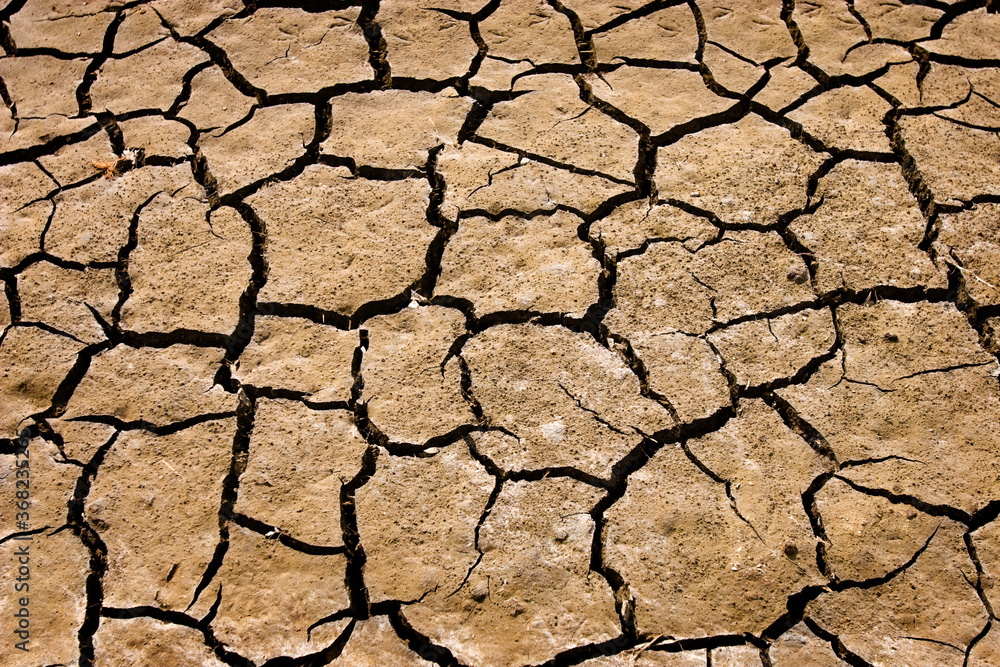Cracks on the soil during a drought Cracks on the soil during a drought