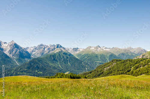 Ftan, Wanderweg, via Engiadina, Alp Laret, Bergbauer, Alm, Bergwiesen, Bergblumen, Alpen, Unterengadin, Inn, Inntal, Graubünden, Sommer, Schweiz