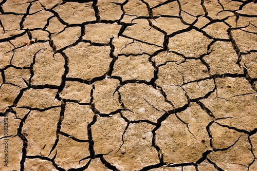 Cracks on the soil during a drought