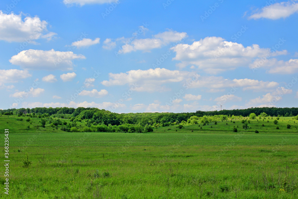 Summer rural landscape with a green plain under a cloudy sky.