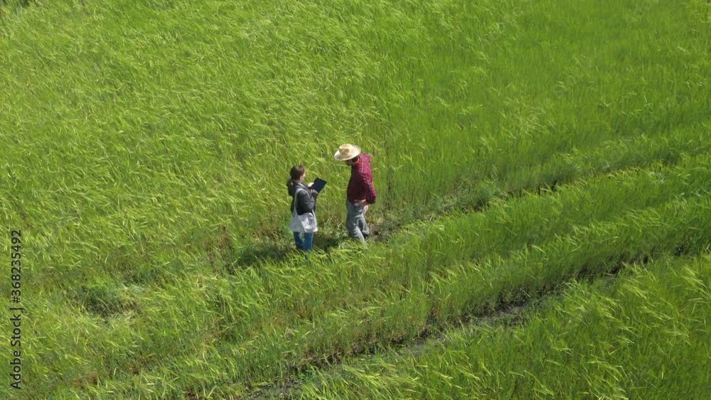 Banker and farmer negotiating bank agriculture loan in barley field Banker and farmer negotiating bank agriculture loan in barley field