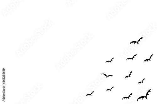 White background for a project for the holiday of helluin. Bats from the lower right side. Vector illustration