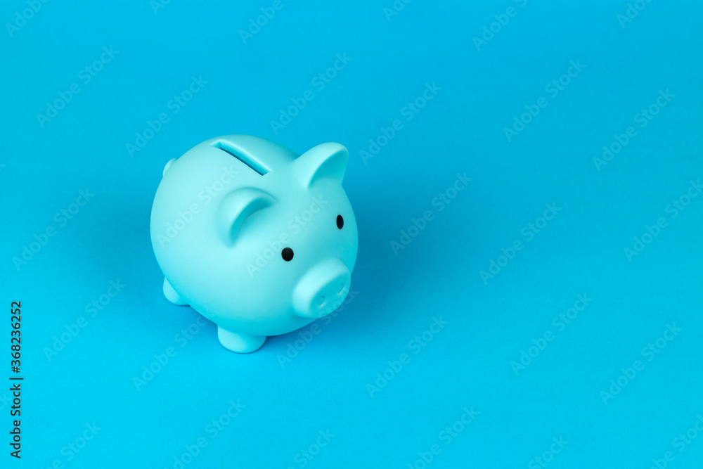 piggy bank in the form of a pig on a blue background	
