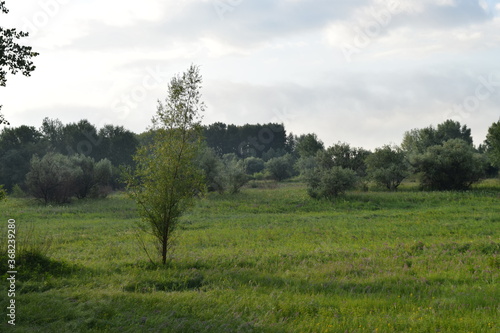 Trees, fields, grass, river collection