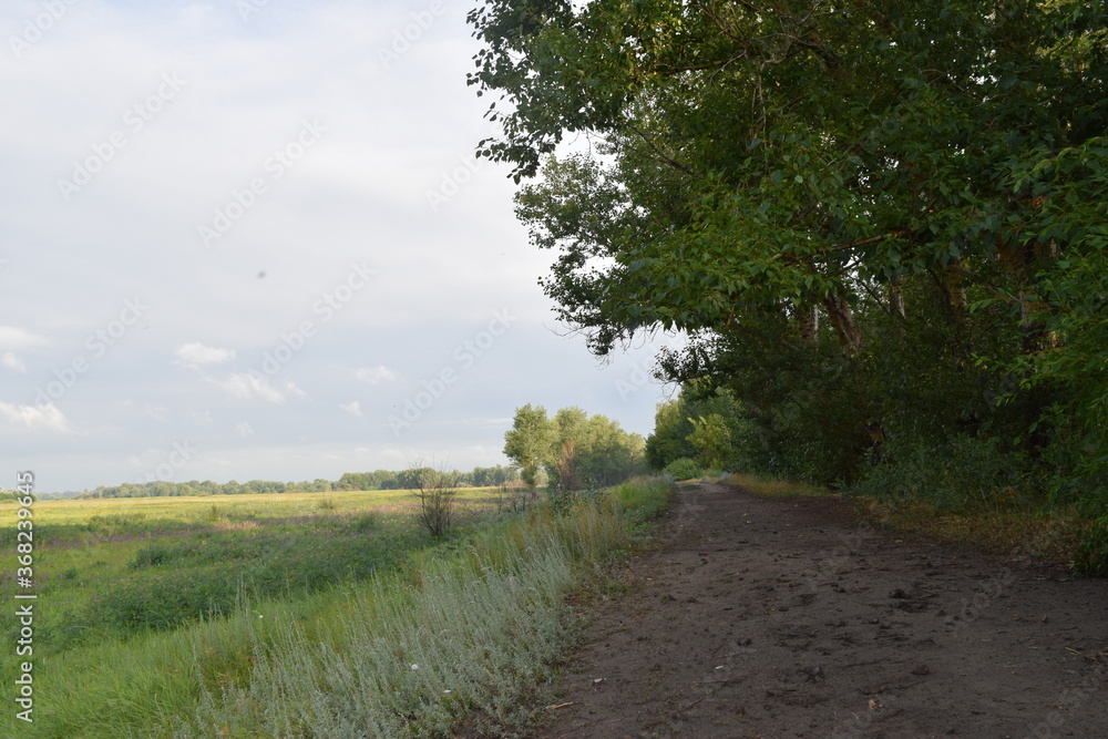 Trees, fields, grass, river collection Trees, fields, grass, river collection