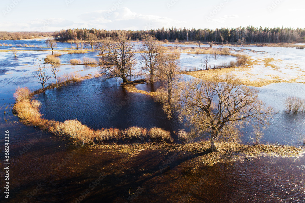 Soomaa National Park during a spring flooding also known as the Fifth season in Estonian nature, Northern Europe. 