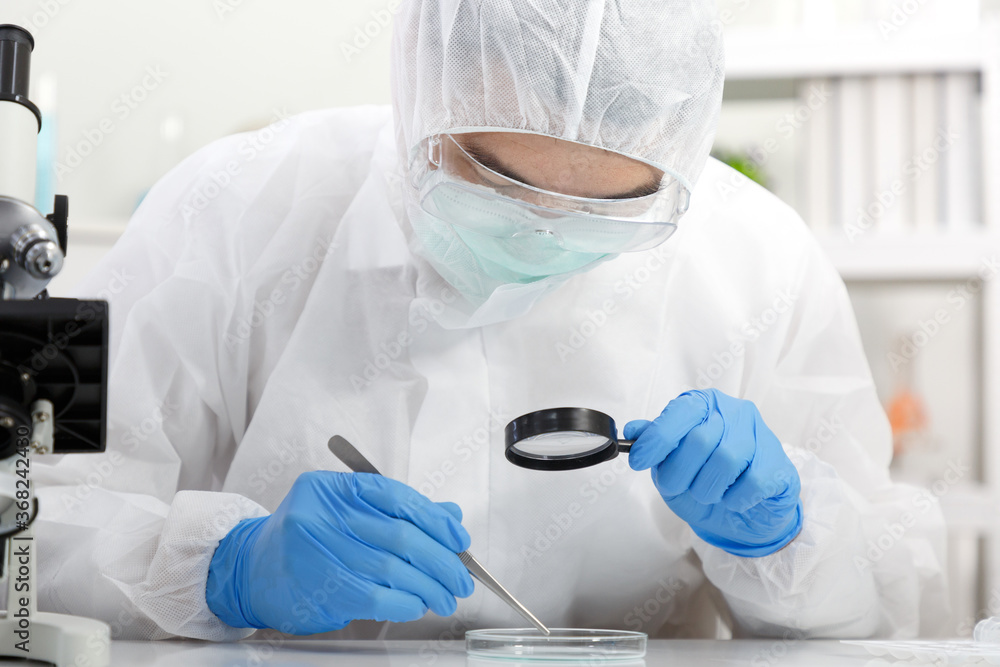 Male Scientist in PPE Suit working in Lab while Using Magnifying glass Checking Sample in Sampling Plate. Blue Tone. SARS-CoV-2 , Covid-19 THEME. Male Scientist in PPE Suit working in Lab while Using Magnifying glass Checking Sample in Sampling Plate. Blue Tone. SARS-CoV-2 , Covid-19 THEME.