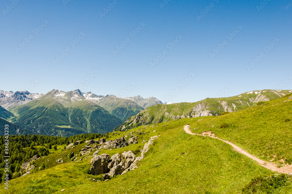 Ftan, Alp Laret, Wanderweg, via Engiadina, Alpen, Alm, Bergwiesen, Bergkräuter, Schweizer Berge, Unterengadin, Graubünden, Sommer, Schweiz