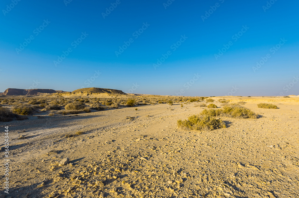 Desolate infinity in nature