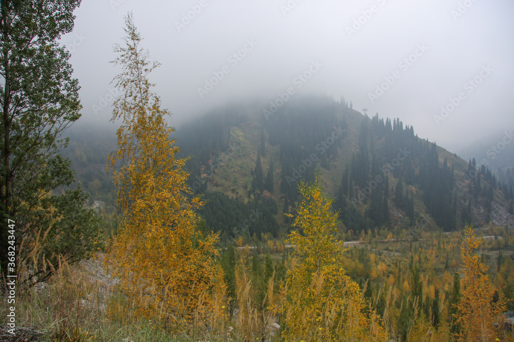 Autumn mountain landscape. Kazakhstan