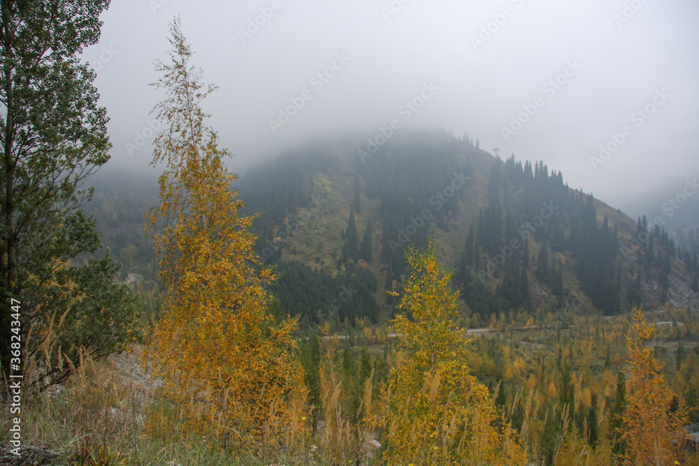 Autumn mountain landscape. Kazakhstan Autumn mountain landscape. Kazakhstan