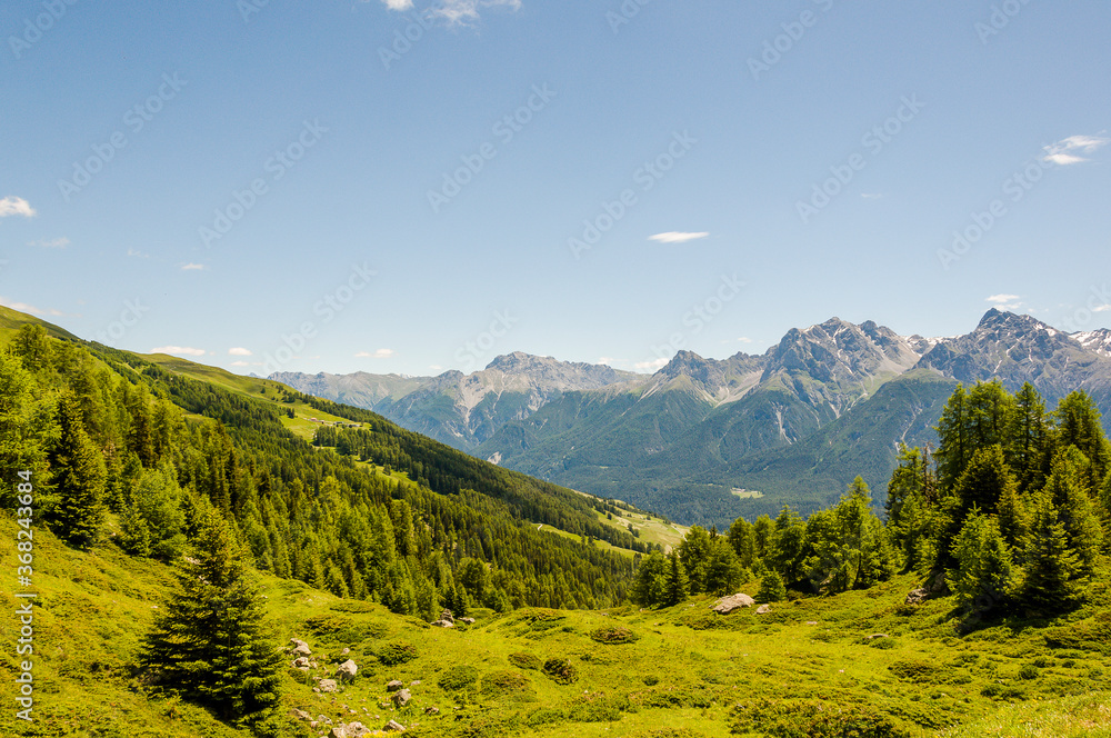 Ftan, Wanderweg, via Engiadina, Alp Laret, Bergbauer, Alm, Bergwiesen, Alpen, Unterengadin, Inn, Inntal, Graubünden, Sommer, Schweiz