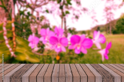 Empty wooden table top on blur abstact pink orchid flower products display or design 