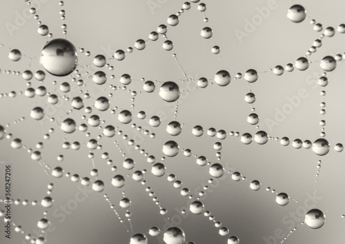 Dewy spiderweb with a circular pattern with a grey bokey background