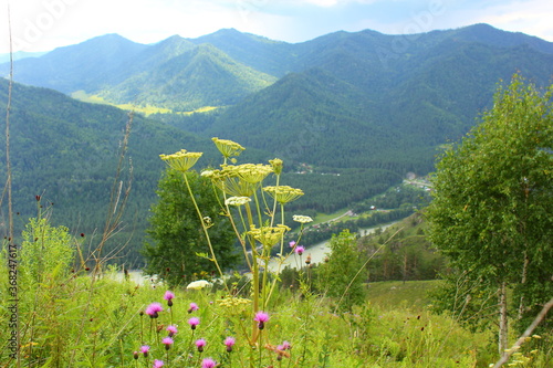 view of the katun river from the mountain and a village in the distance