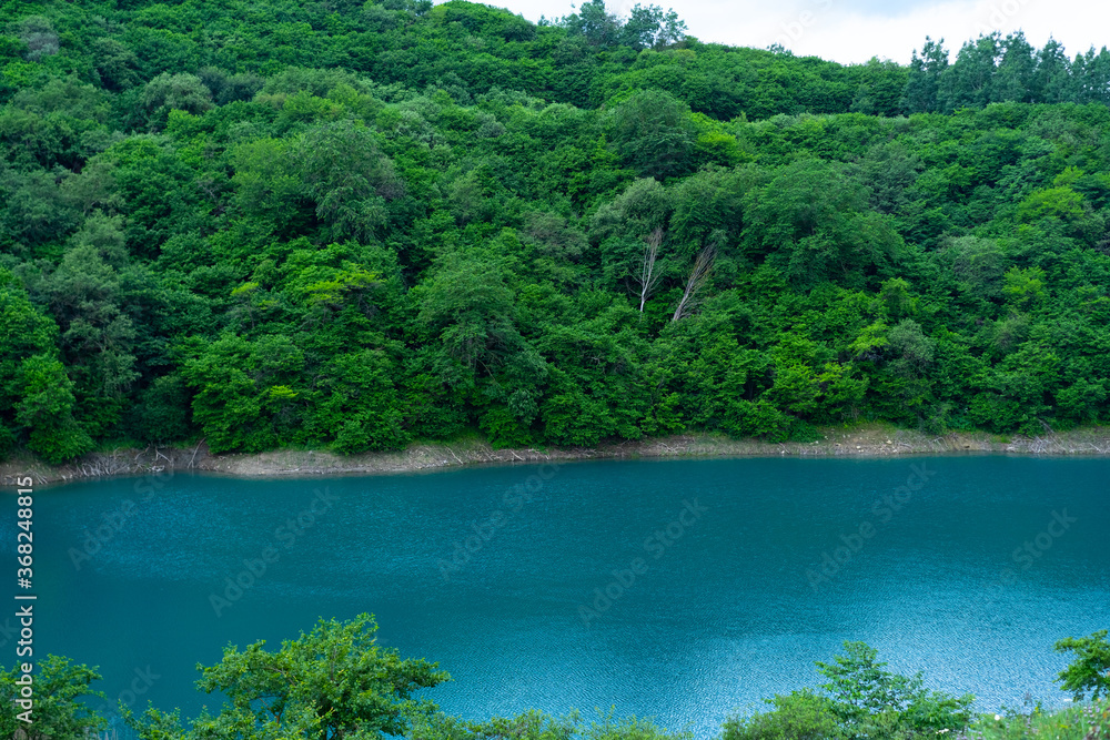 Clear lake surrounded by trees