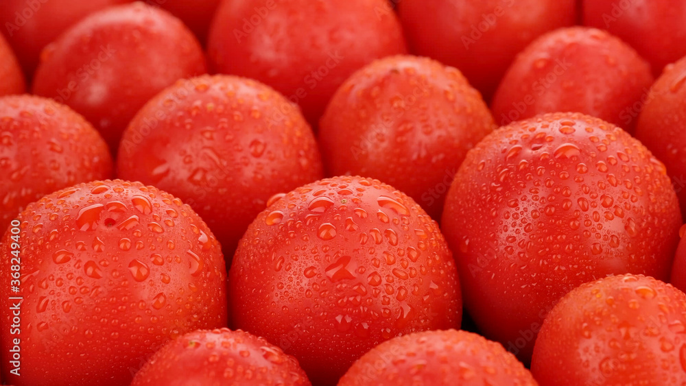 fresh red tomatoes with water drops closeup fresh red tomatoes with water drops closeup