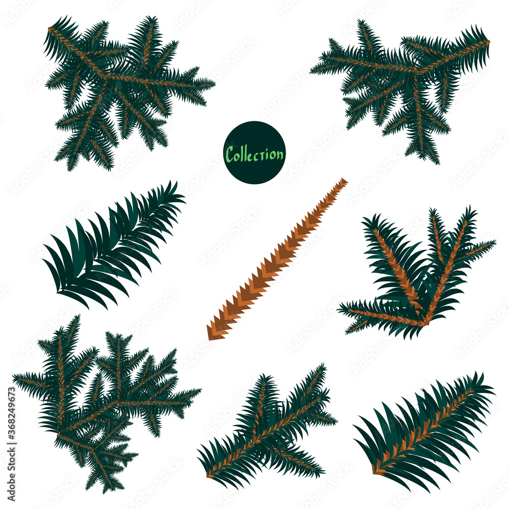 Set of branches from a Christmas tree. Build it yourself. Christmas