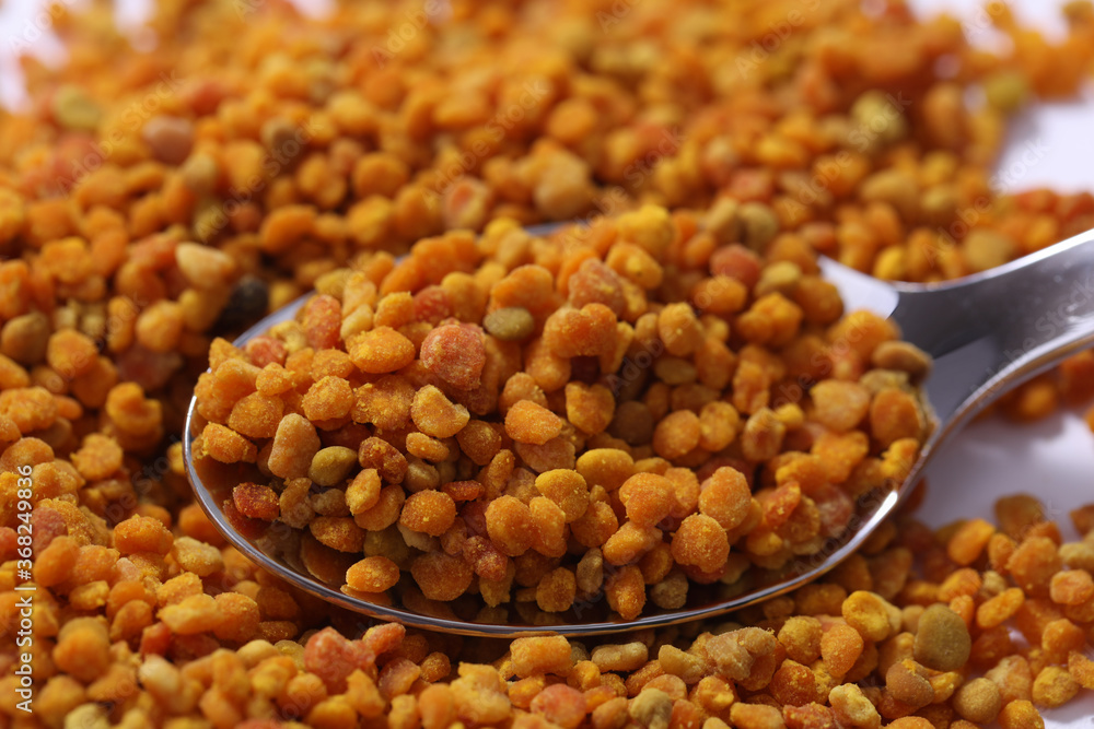 Propolis Blütenpollen Bienen