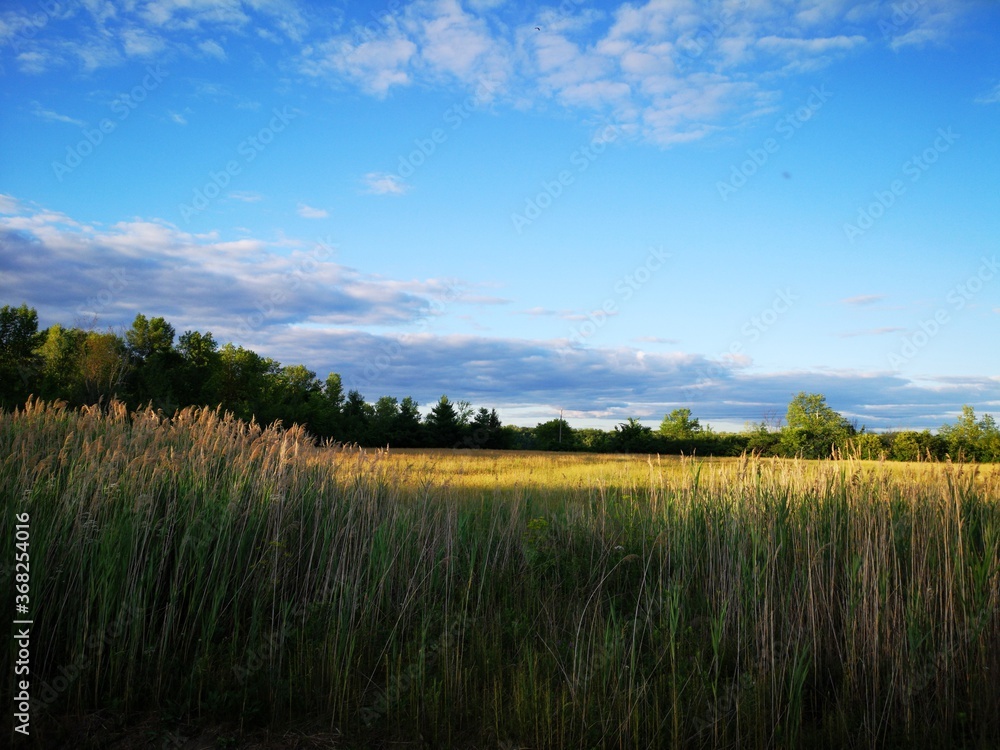 Naklejka premium Farm land