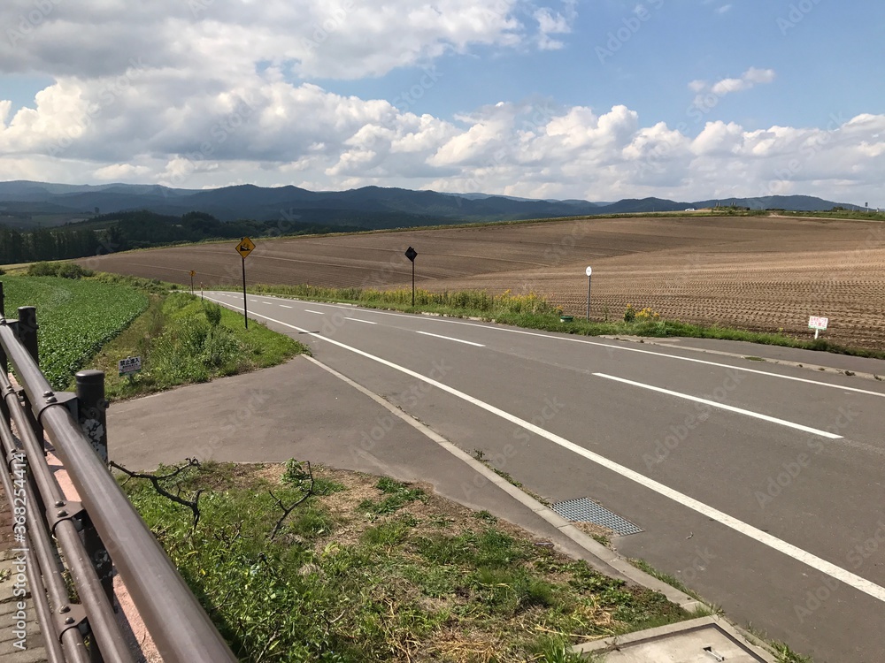 北海道田園の道