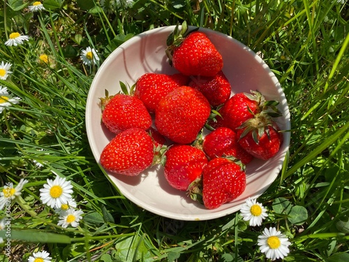 Fototapeta Naklejka Na Ścianę i Meble -  Reife frische Erdbeeren in Schüssel