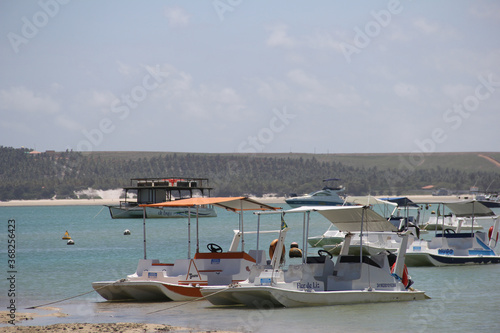 boats in harbour