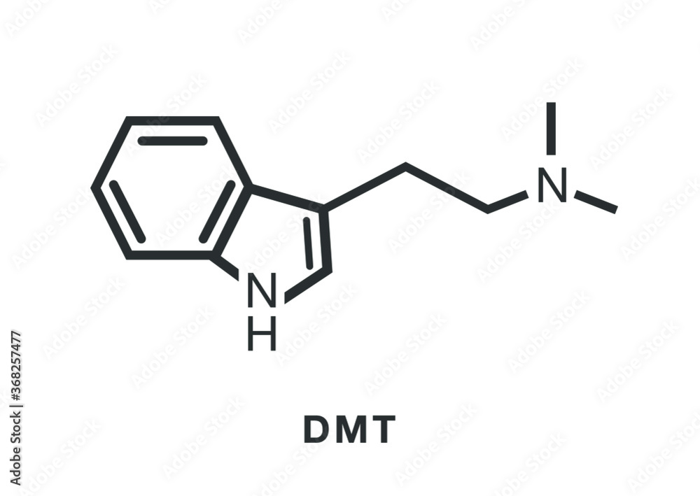Dmt molecule icon.  Molecule vector illustration. 